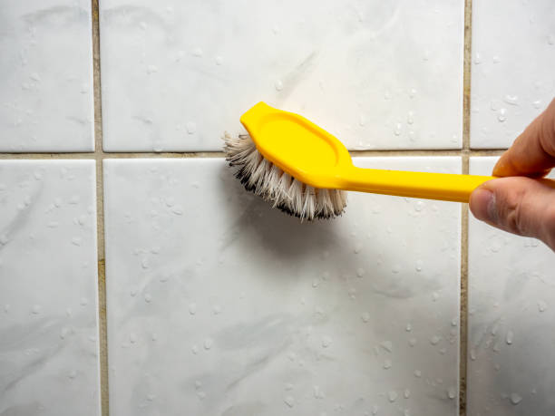 Best Office Mold Removal Services  in Newport, SC