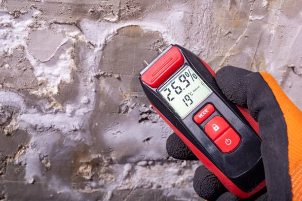 Best Professional Mold Removal  in Newport, SC
